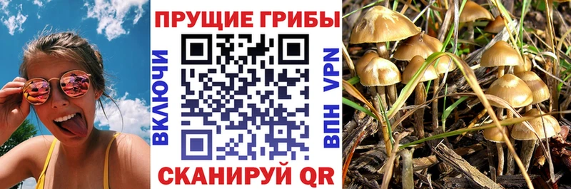 Галлюциногенные грибы MAGIC MUSHROOMS  Купить где  Нязепетровск 